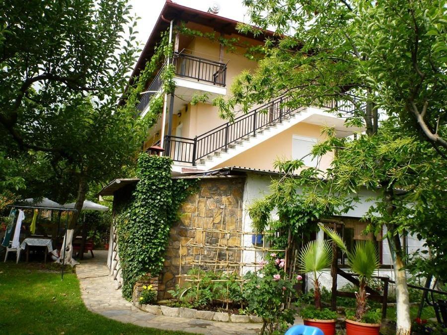 Helena Apartments 파랄리아 판탈레이모노스 외부 사진
