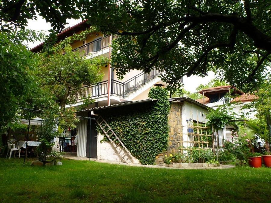 Helena Apartments 파랄리아 판탈레이모노스 외부 사진